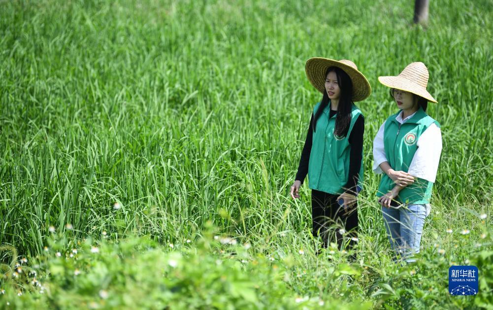 7108公海睹船官网